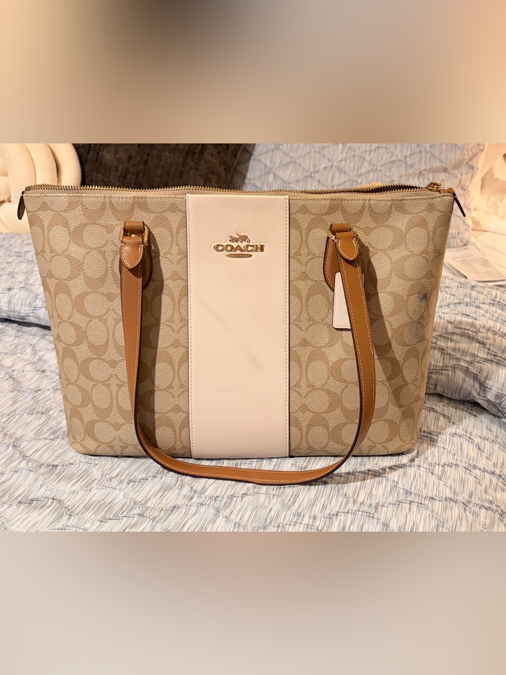 Coach Signature Canvas Tote in Beige and Tan